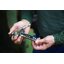 IRWIN 5WR VISE-GRIP Locking Multi-Pliers with Wire Cutter, pocket knife and Screw driver, 5" - คีมล็อคพร้อมมีด และไขควง ขนาด 5 นิ้ว - 1923454