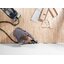 FESTOOL TS 55 FEBQ Plus - Track Saw without FS rail - เลื่อยรางขนาด 160 มม. ตัวเปล่าไม่มีราง (Made in Germany)