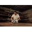 BOSCH GWS 700 4-inch Angle Grinder, 710w - เครื่องเจียรไฟฟ้า หรืลูกหมูขนาด 4 นิ้ว 710 วัตต์ บ็อช รุ่น GWS 700 - 06013A31K0
