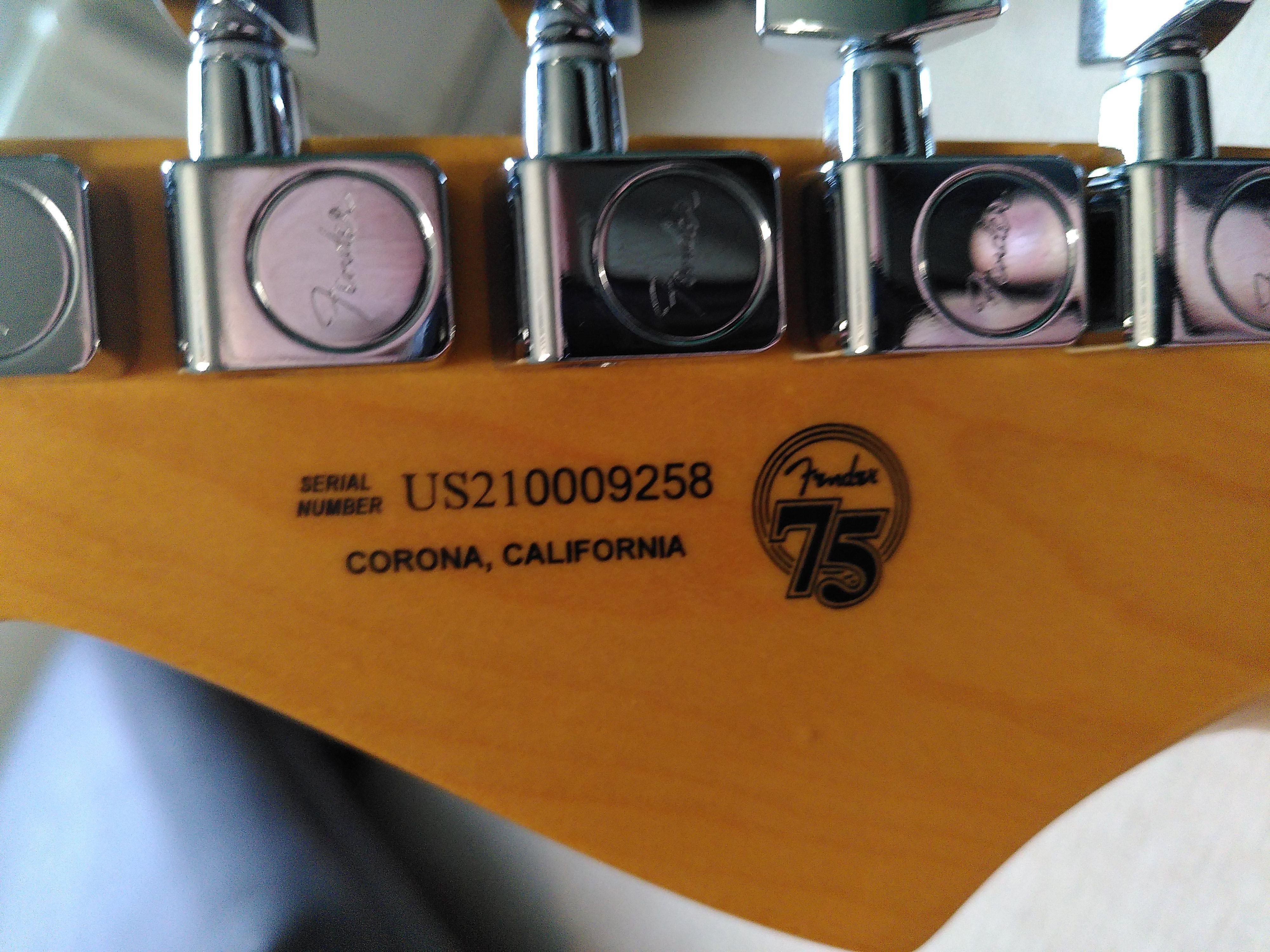 Fender Stratocaster American Professional II