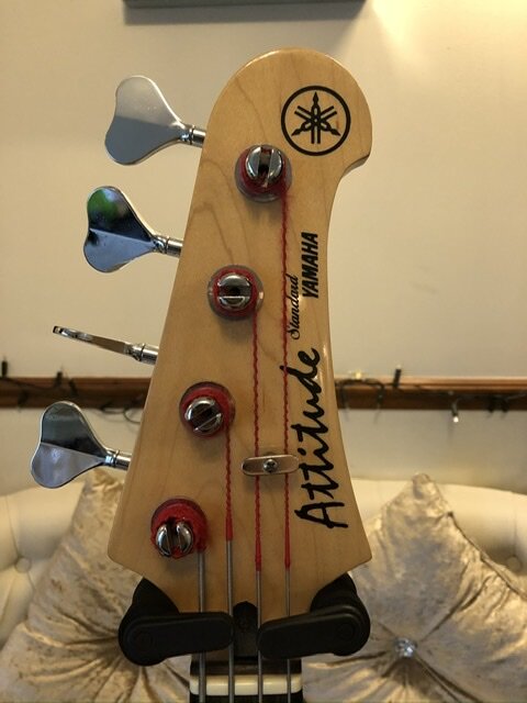 Yamaha Attitude Standard