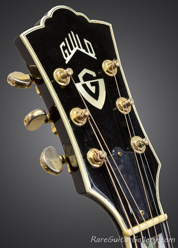 Guild D-55 [Silver Metallic]