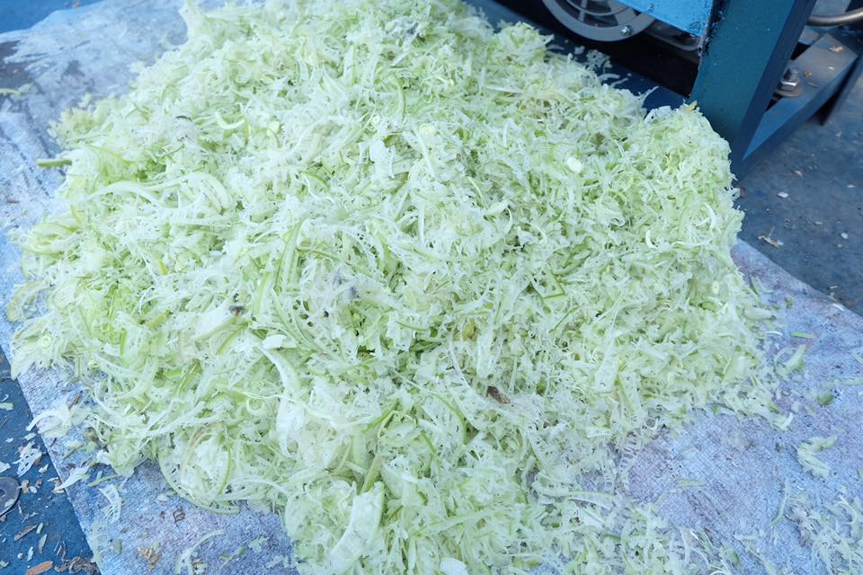 เครื่องสับต้นกล้วย 1แรงม้า