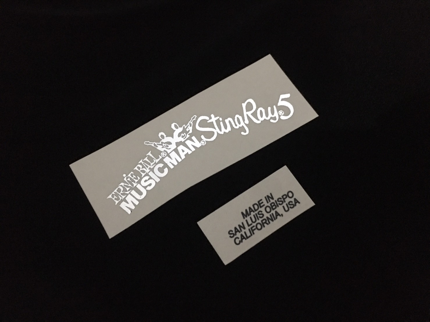 Music Man Stingray 5 [Silver Metallic]