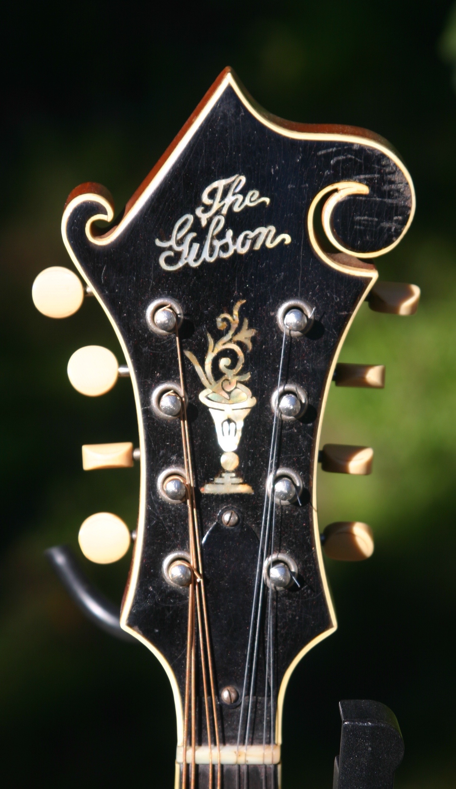 The Gibson Flower Pot 1