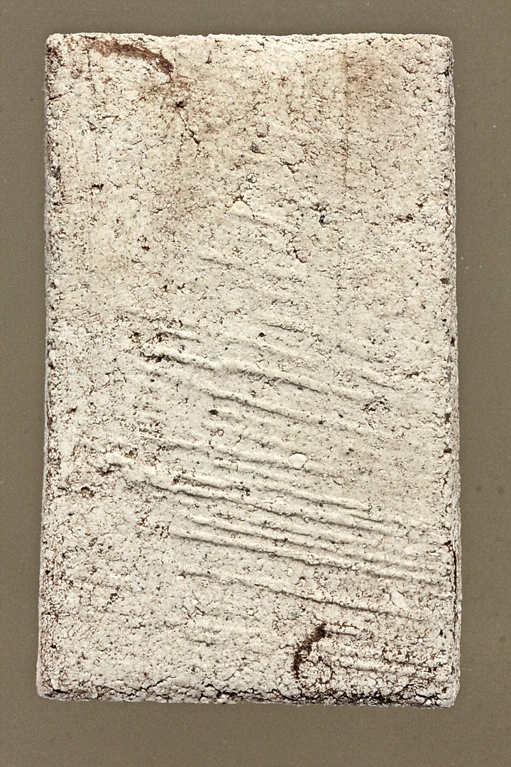 eMagazine "สืบสานพรหมรังสี"