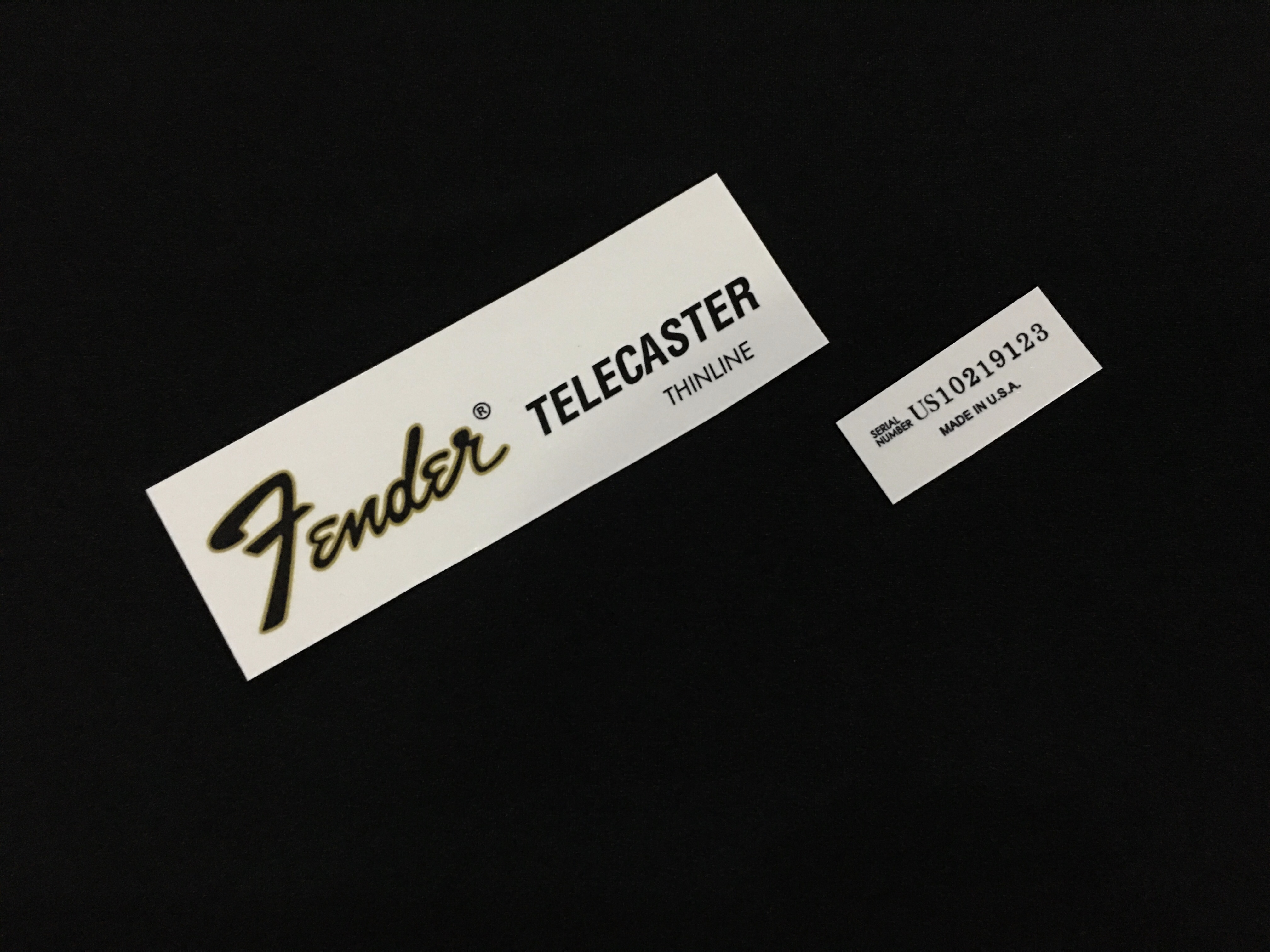 Fender Telecaster Thinline