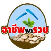 สอนอาชีพพารวย