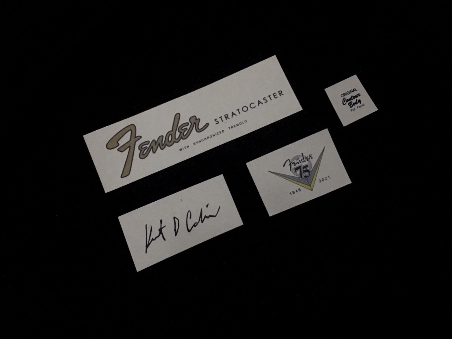 Fender Stratocaster Vandalism Kurt Cobain Signature