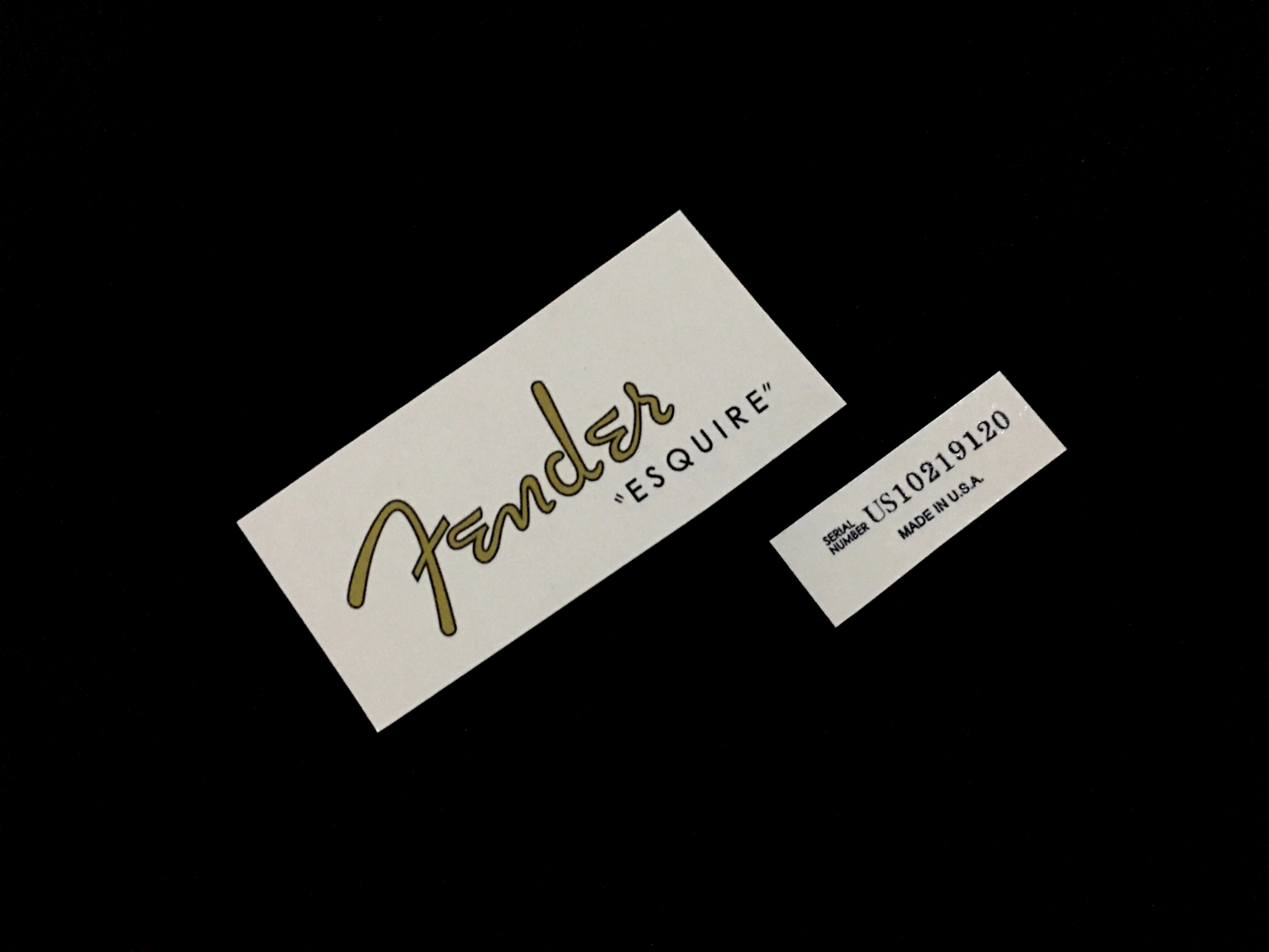 Fender Esquire Masterbuilt Dale Wilson