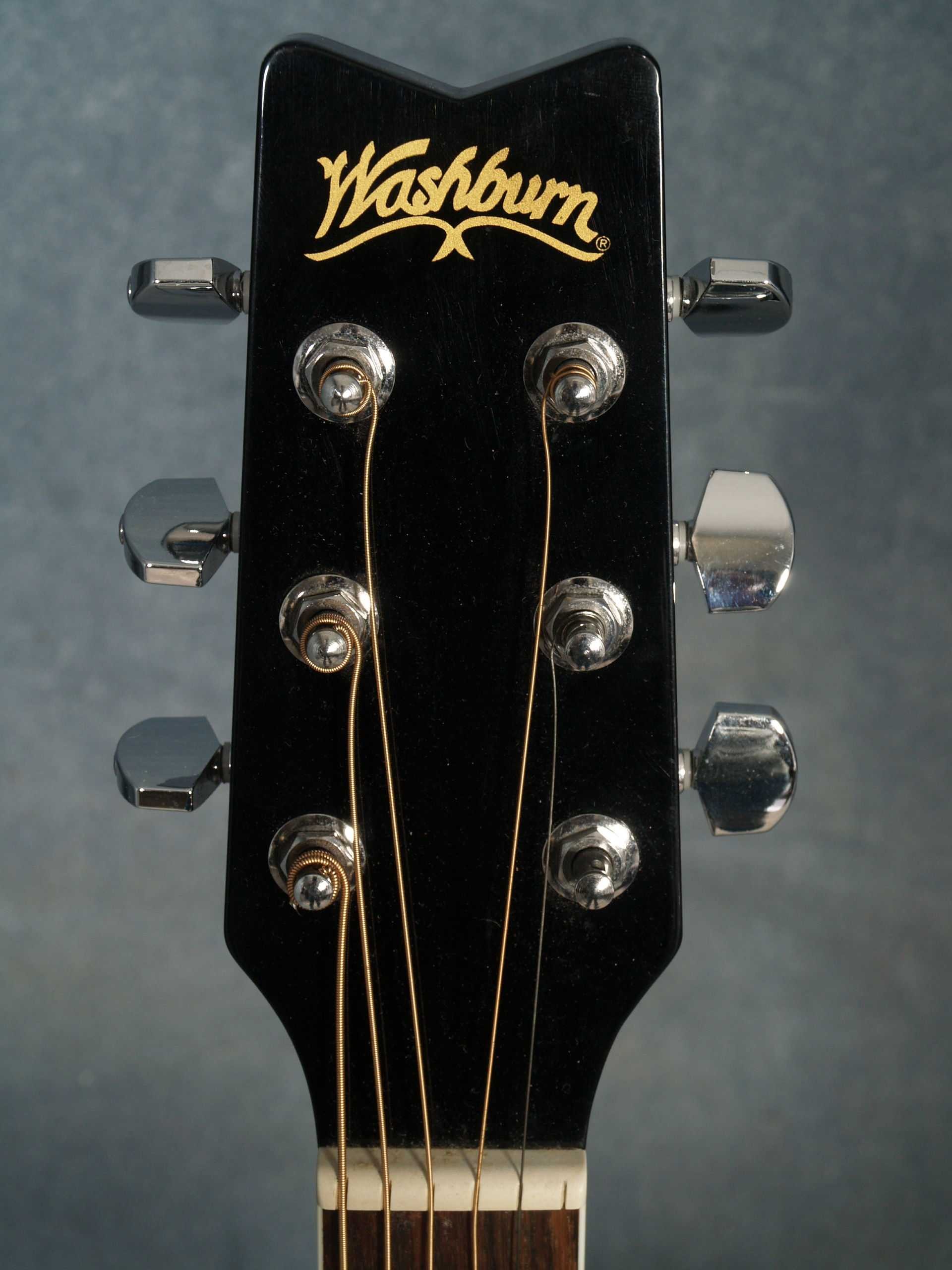 Washburn Acoustic