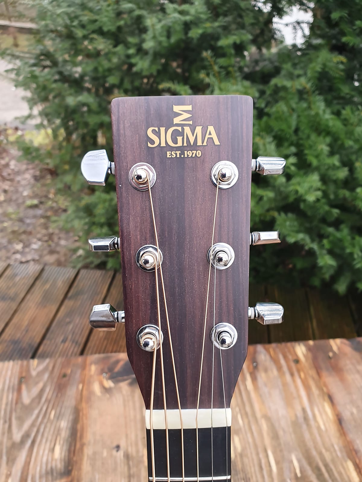 Sigma Acoustic 2 [Gold Metallic]