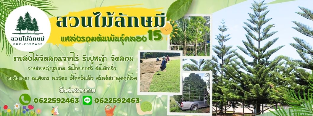 ต้นไม้จัดสวน