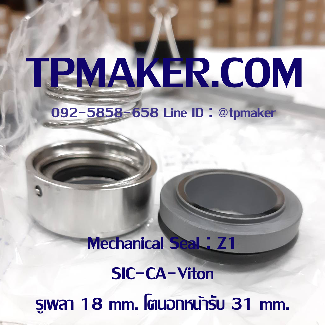 Mechanical Seal แมคคานิคอล ซีล : รุ่นZ1 : 18-31 SIC-CA-Viton