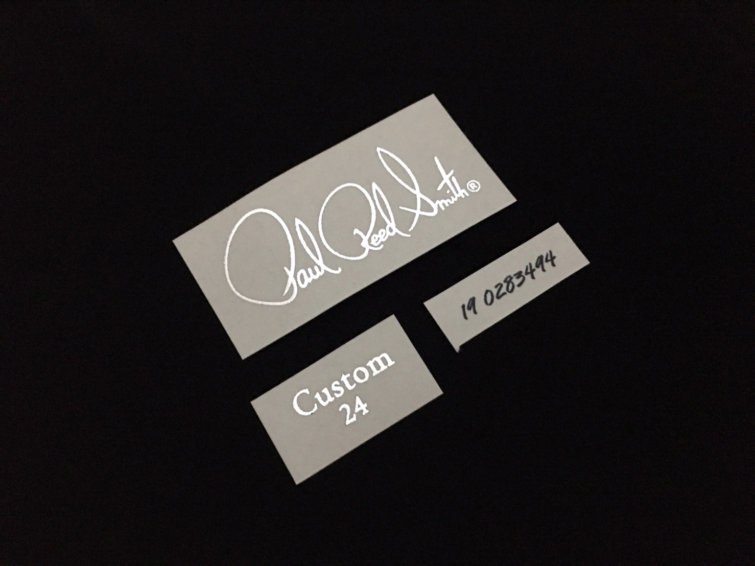 Paul Reed Smith Custom 24 [Silver Metallic]