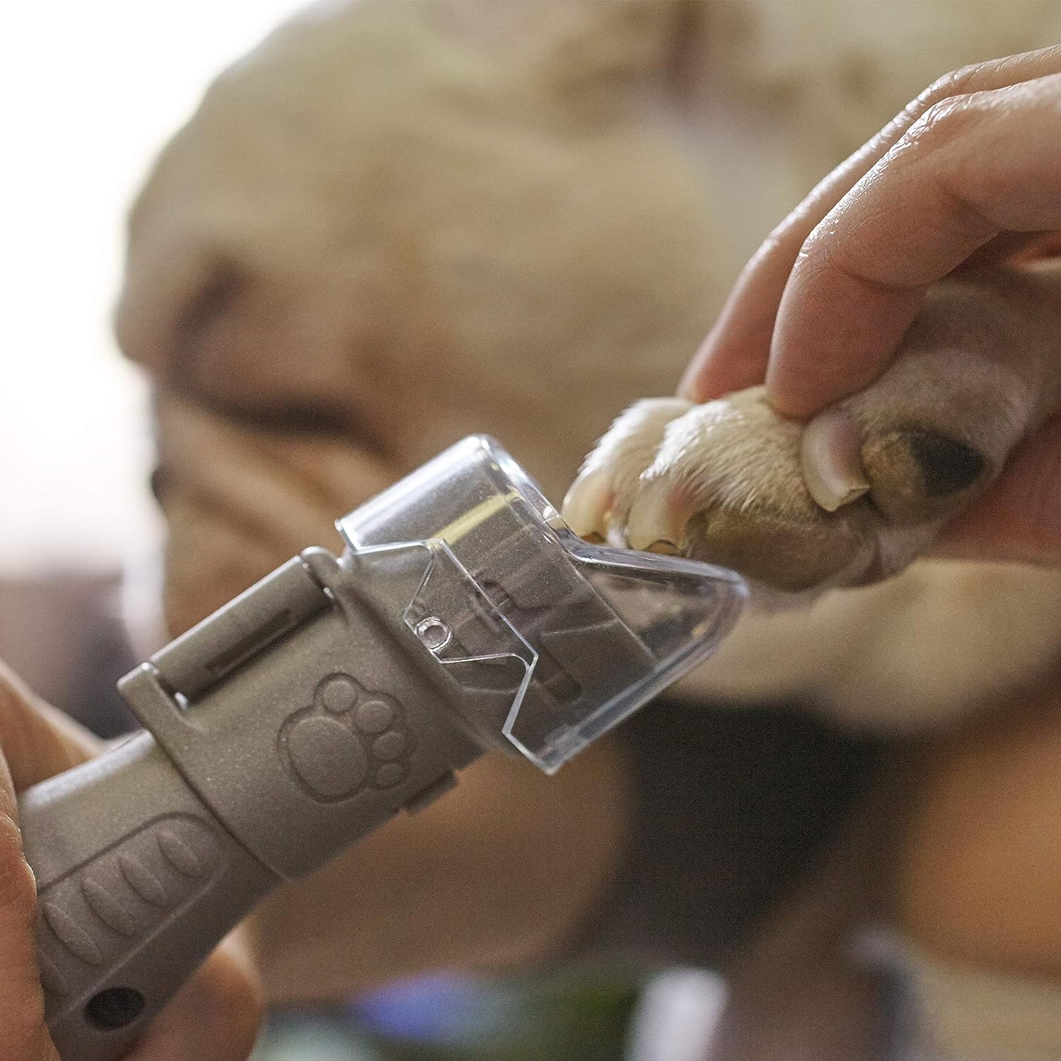 DREMEL 7020-PGK Pet Nail Grooming Kit, Quiet Electric Dog Nail File Care Set - ชุดเครื่องมือตะไบเล็บสัตว์เลี้ยง Dremel รุ่น 7020-PGK - F0137020JA