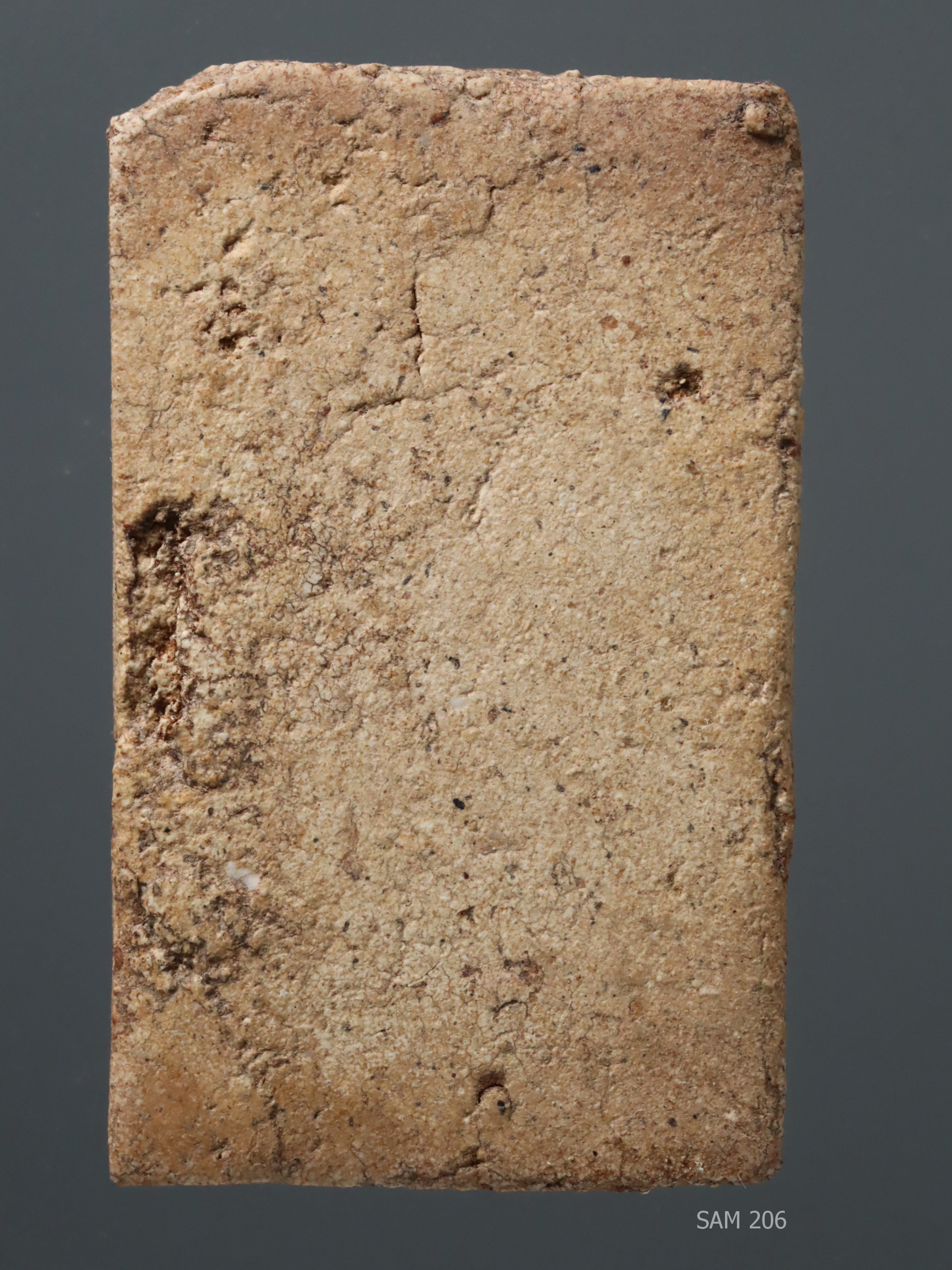 พระสมเด็จฯ กรุวัดสะตือ พิมพ์ฐานแซม SAM 206