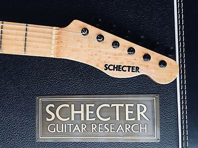 Schecter telecaster Shelton's