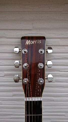 Morris Acoustic 2 [Silver Metallic]
