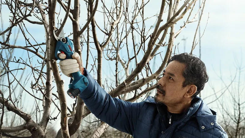 BOSCH Pro Pruner - Cordless Secateur with 1x 2.0Ah batteries and Charger - เครื่องตัดแต่งกิ่งไม้ไร้สาย ใช้แบตเตอรี่ 12โวล์ท (พร้อมแบตเตอรี่ 12โวล์ท 2.0Ah 1ก้อน และแท่นชาร์ท) - 06019K10K1