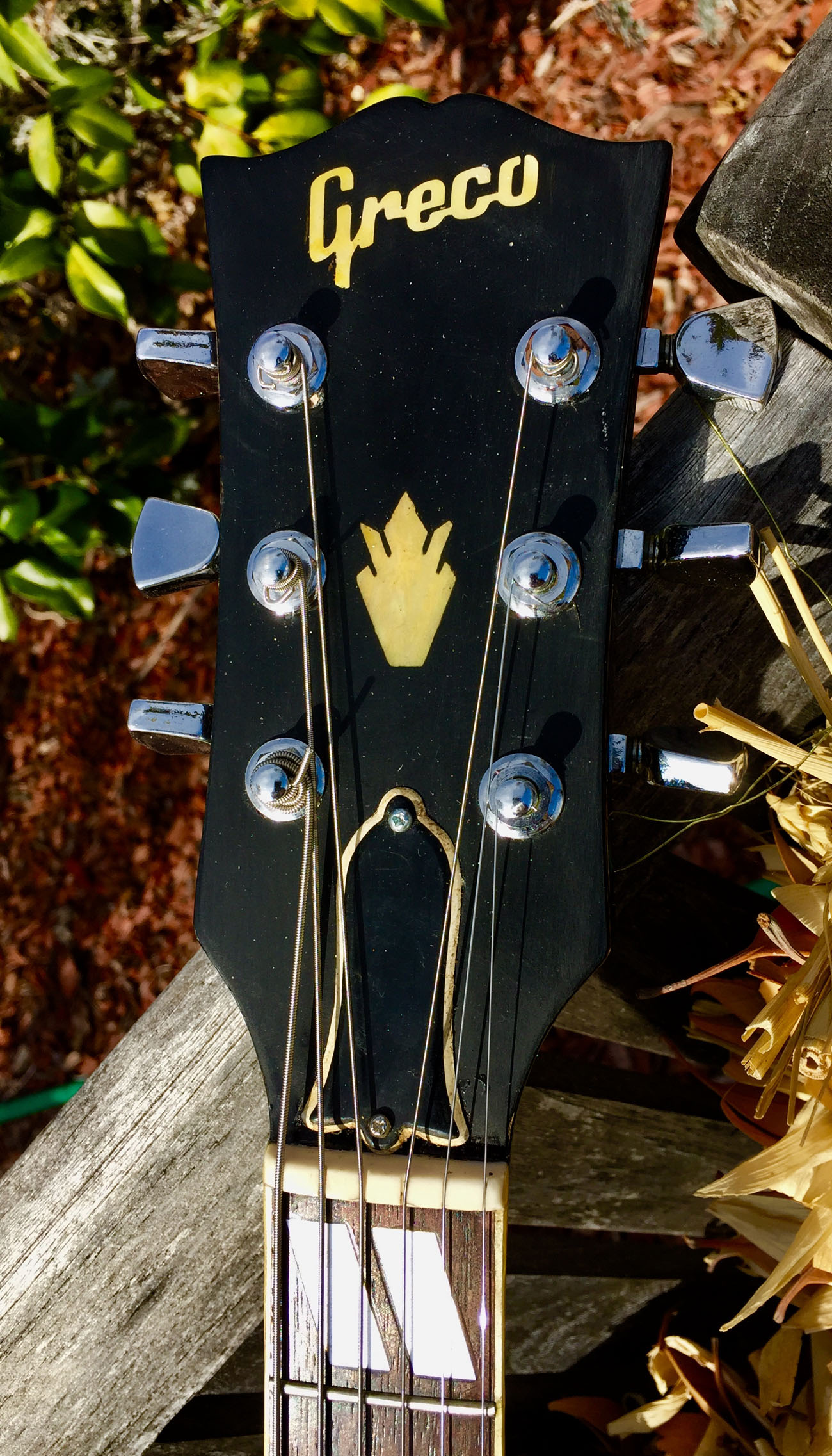 Greco SG [Gold Metallic]