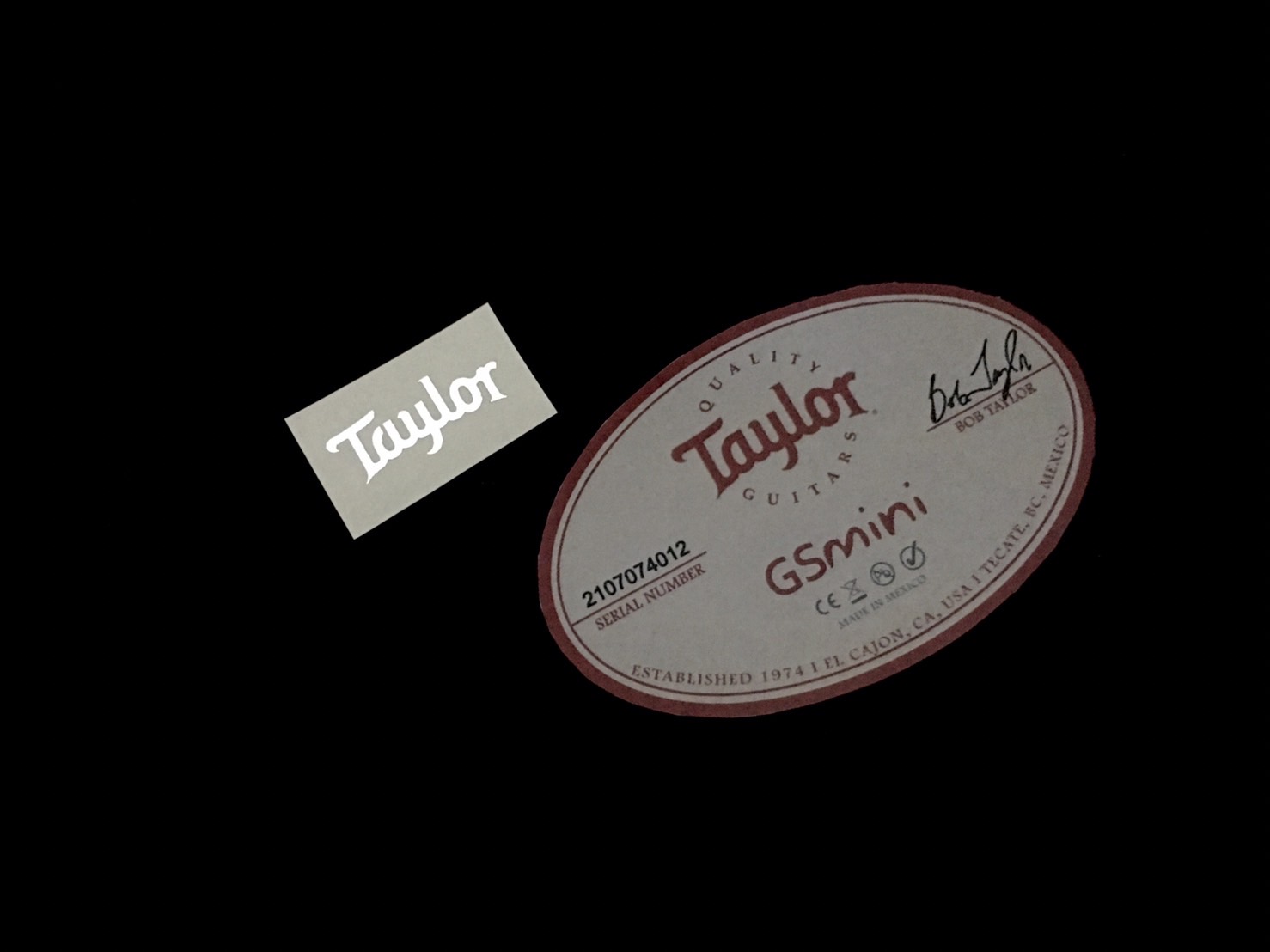 Taylor GS Mini Acoustic