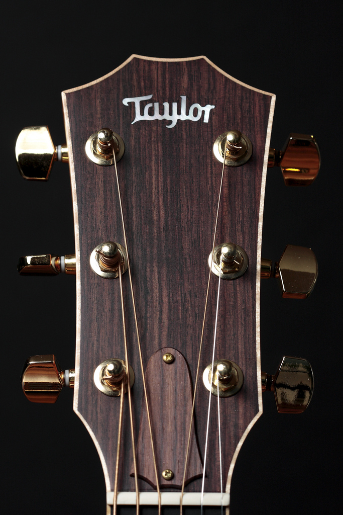 Taylor Guitar Acoustic [Silver Metallic]