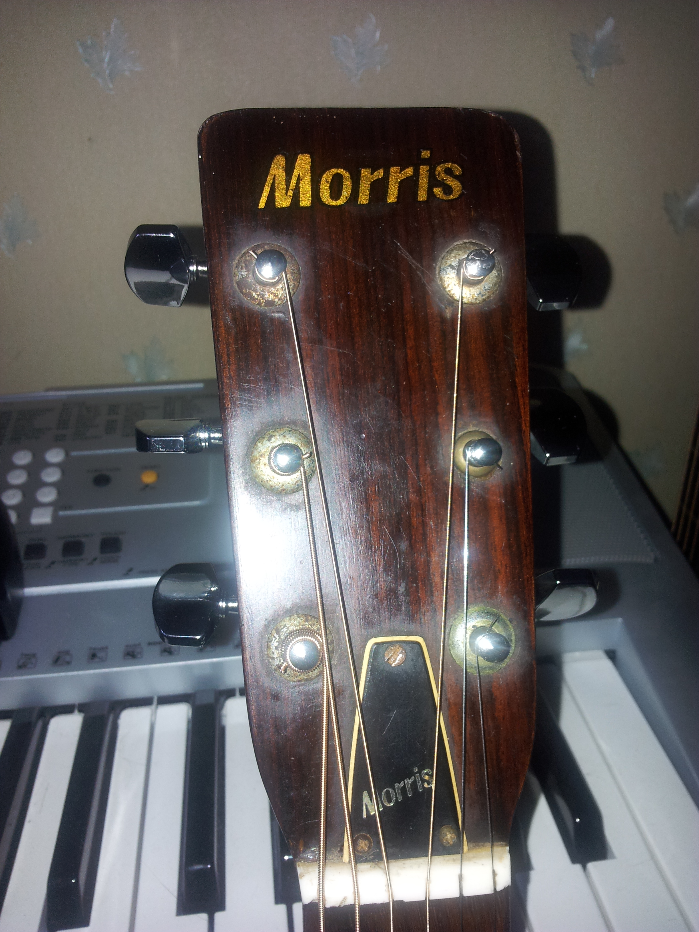Morris Acoustic 1 [Gold Metallic]