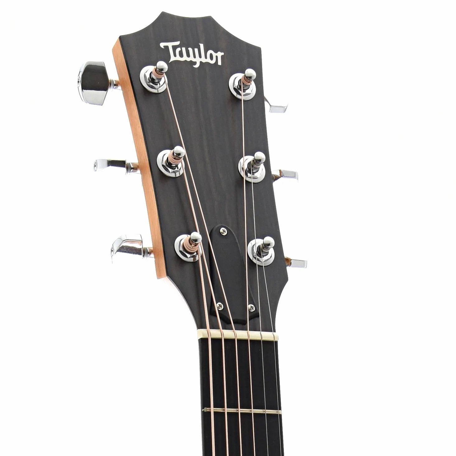 Taylor + Label Acoustic 214 ce
