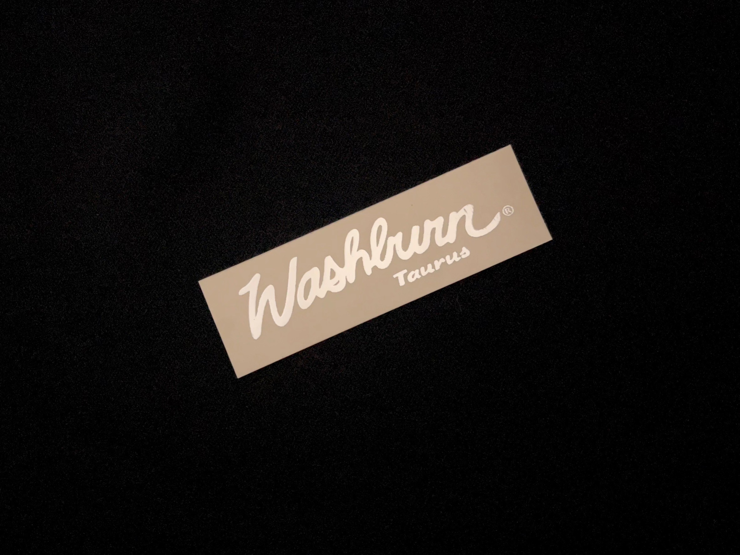 Washburn Taurus [Silver Metallic]