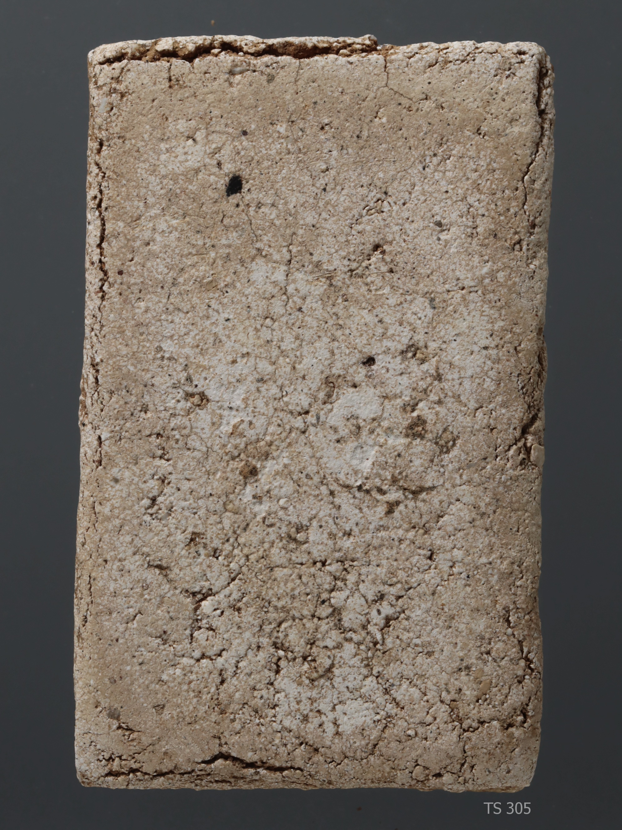 พระสมเด็จฯ กรุวัดสะตือ พิมพ์ฐานแซม TS 305