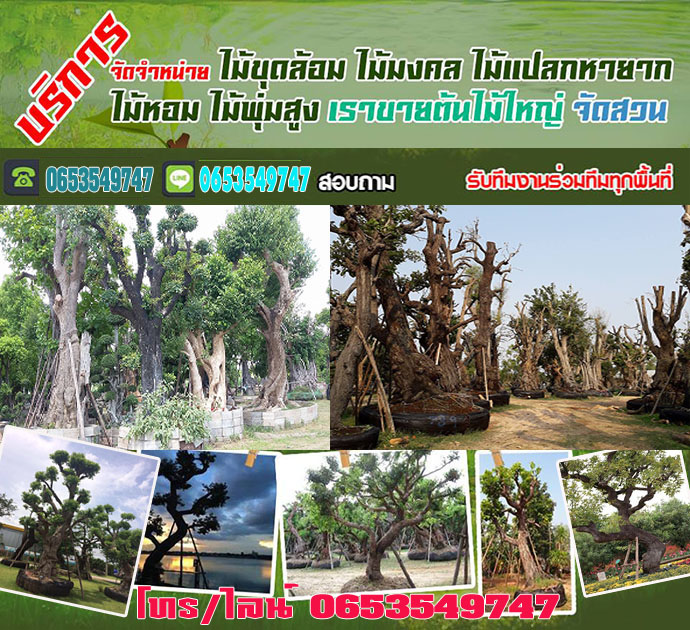 ร้านไม้ล้อม