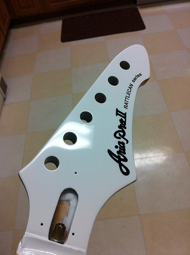 Aria Pro II Rattlecan Series