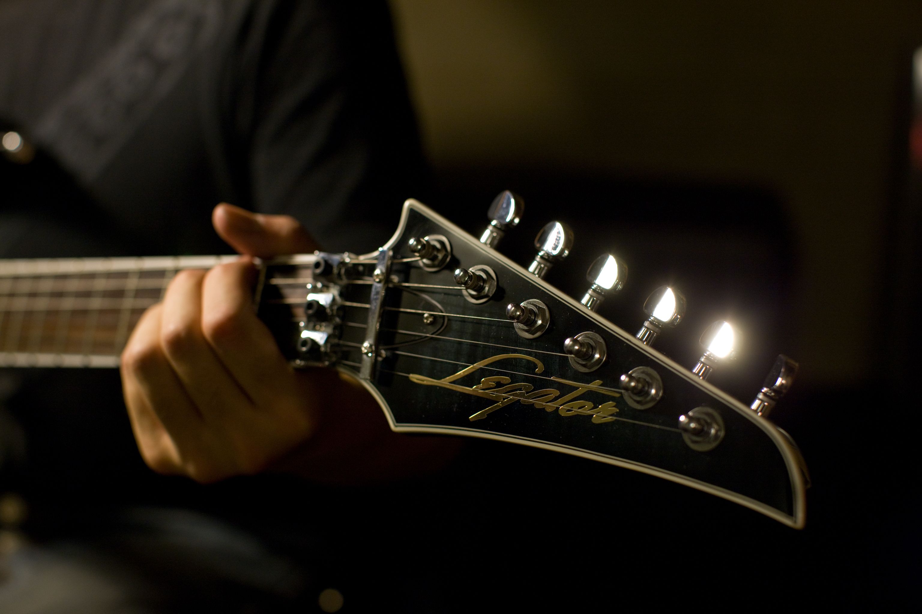 Legator Guitar [Silver Metallic]