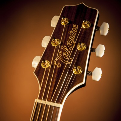 Takamine G Series 3 [Gold Metallic]