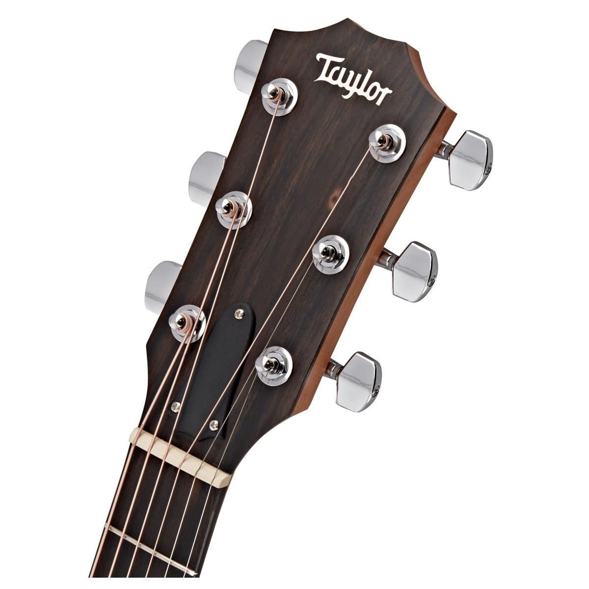 Taylor + Label Acoustic 214 ce