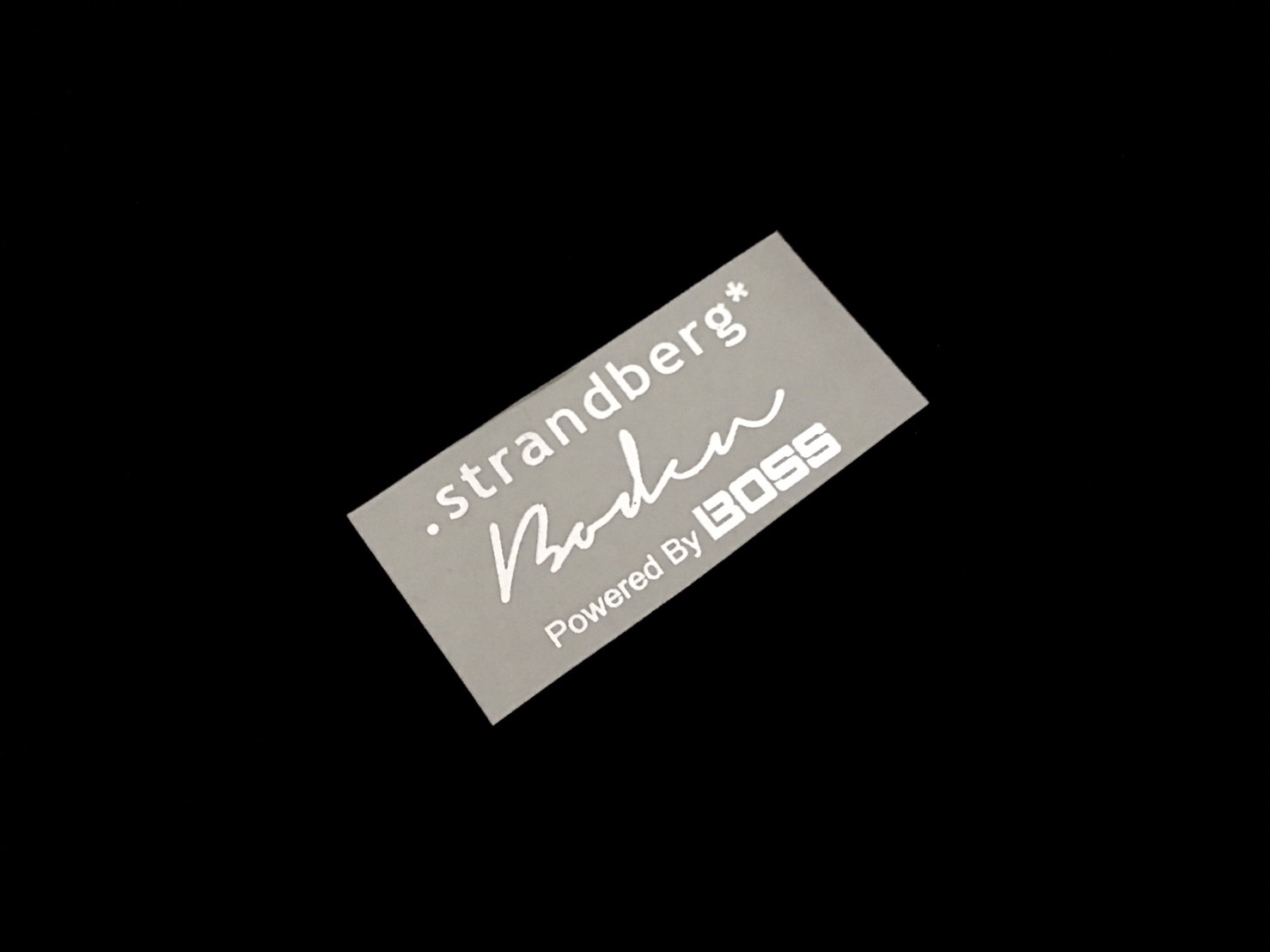 Strandberg Boden By Boss [Silver Metallic]