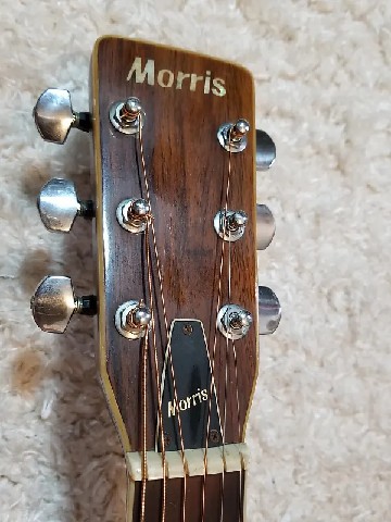 Morris Acoustic 2 [Silver Metallic]