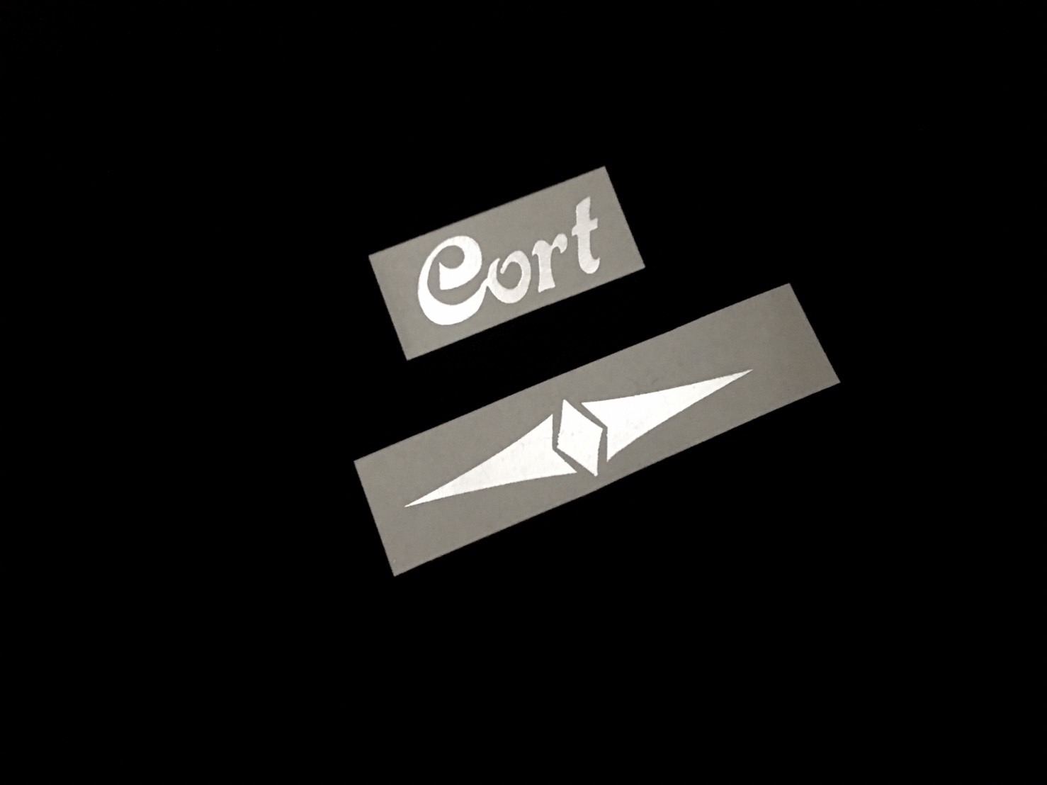 Cort Acoustic [Silver Metallic]