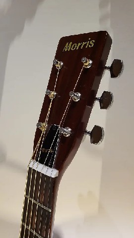 Morris Acoustic 2 [Silver Metallic]