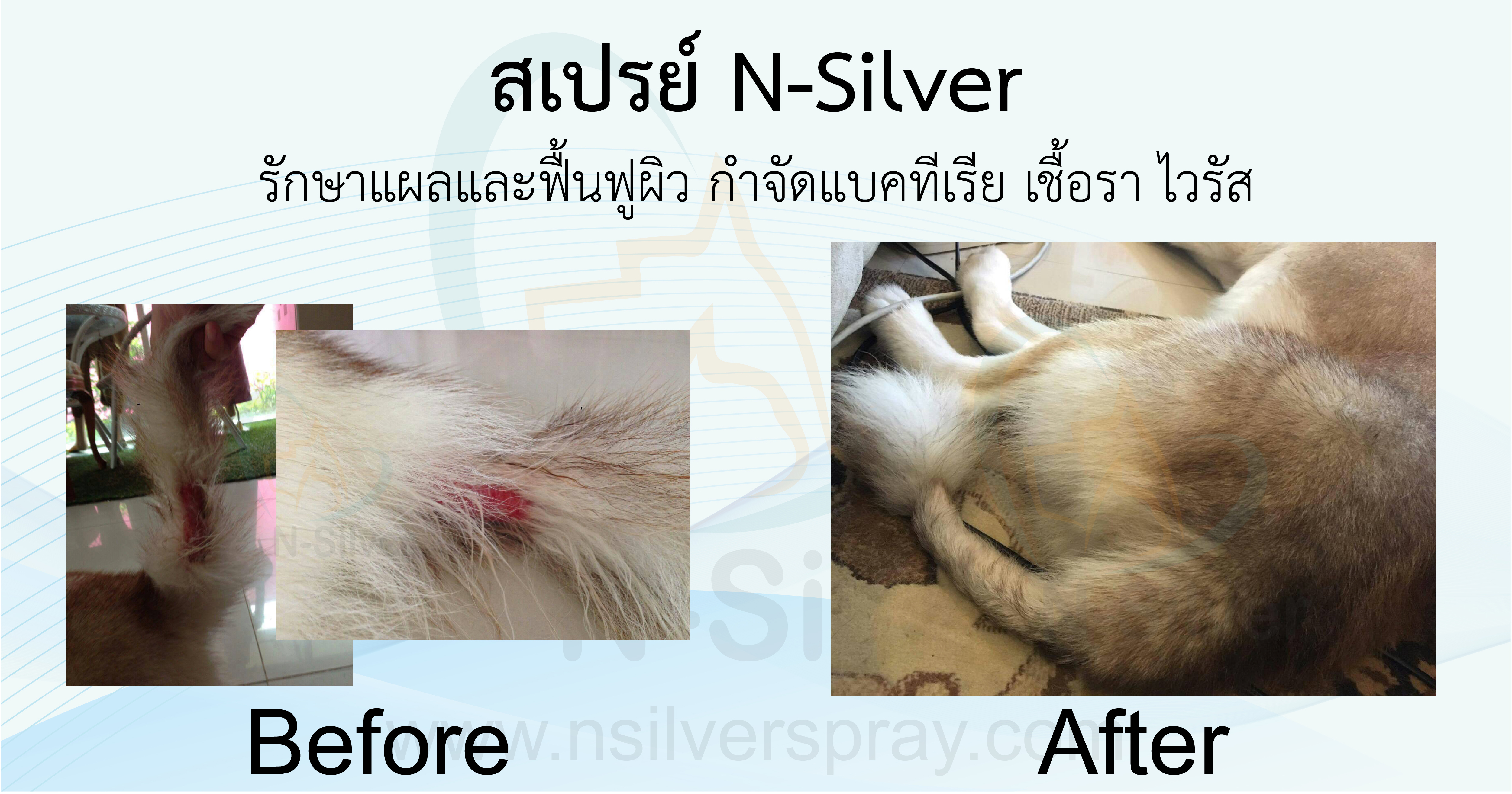 นาโนซิลเวอร์ นาโนซิลเวอร์
