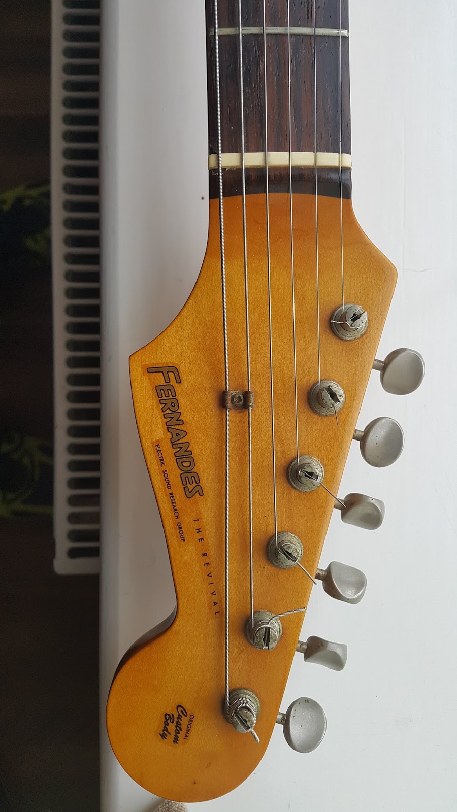 Fernandes The Rivival