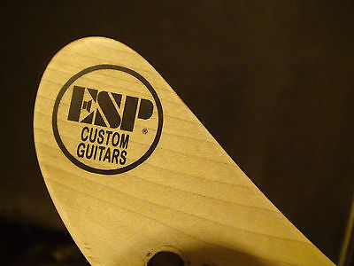 ESP Custom