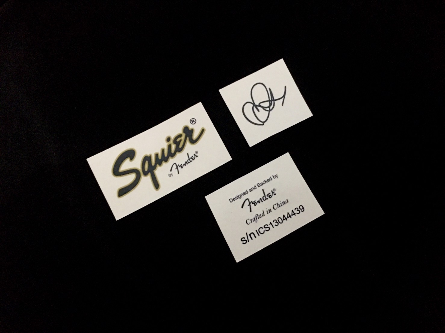 Squier Mustang Ryan Jarman Signature