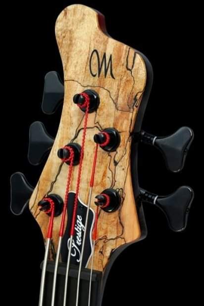 Mayones Bass & Guitar