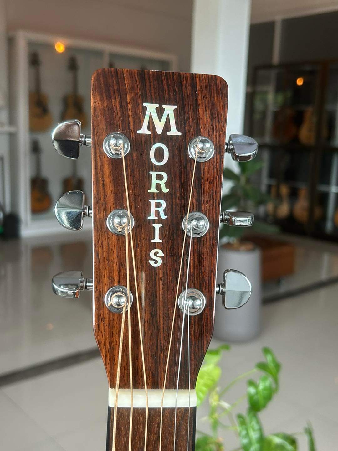 Morris W & TF Series