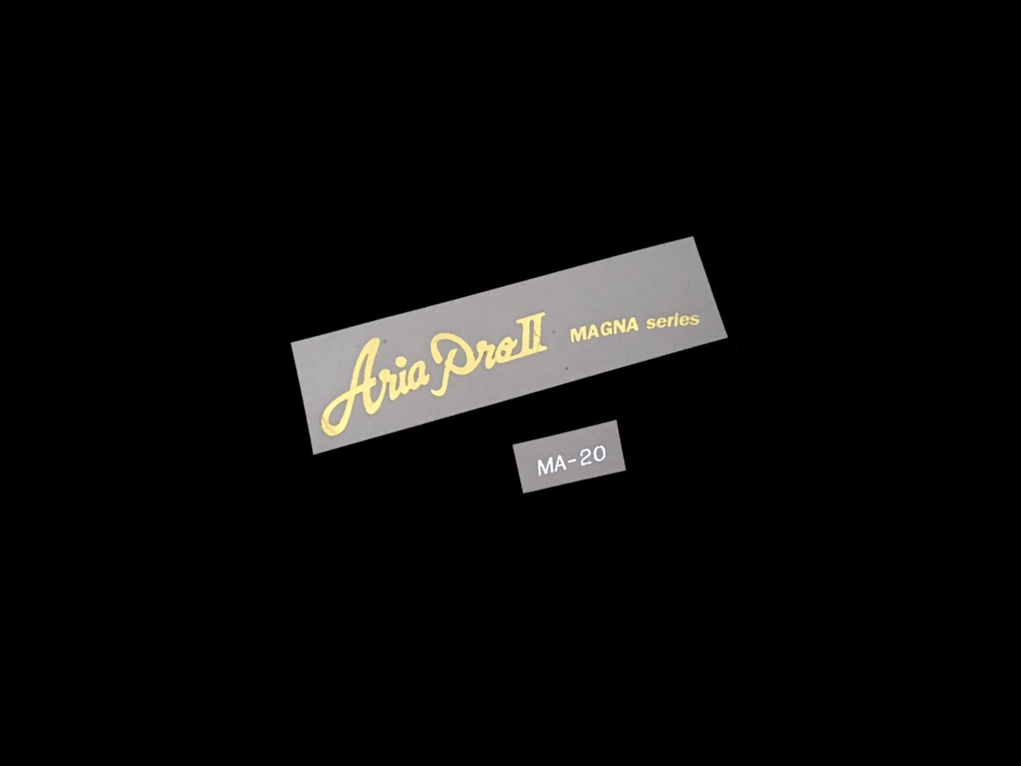 Aria Pro II Magna Series [Gold Metallic]