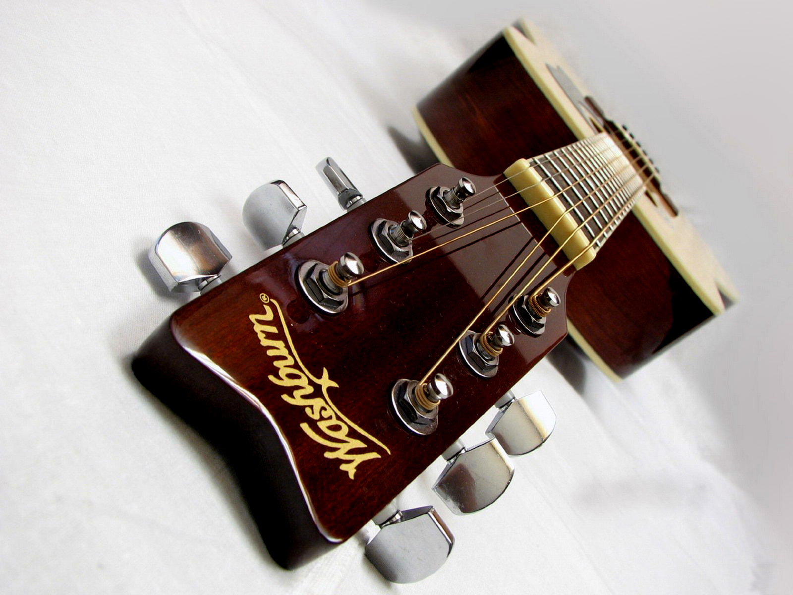 Washburn Acoustic