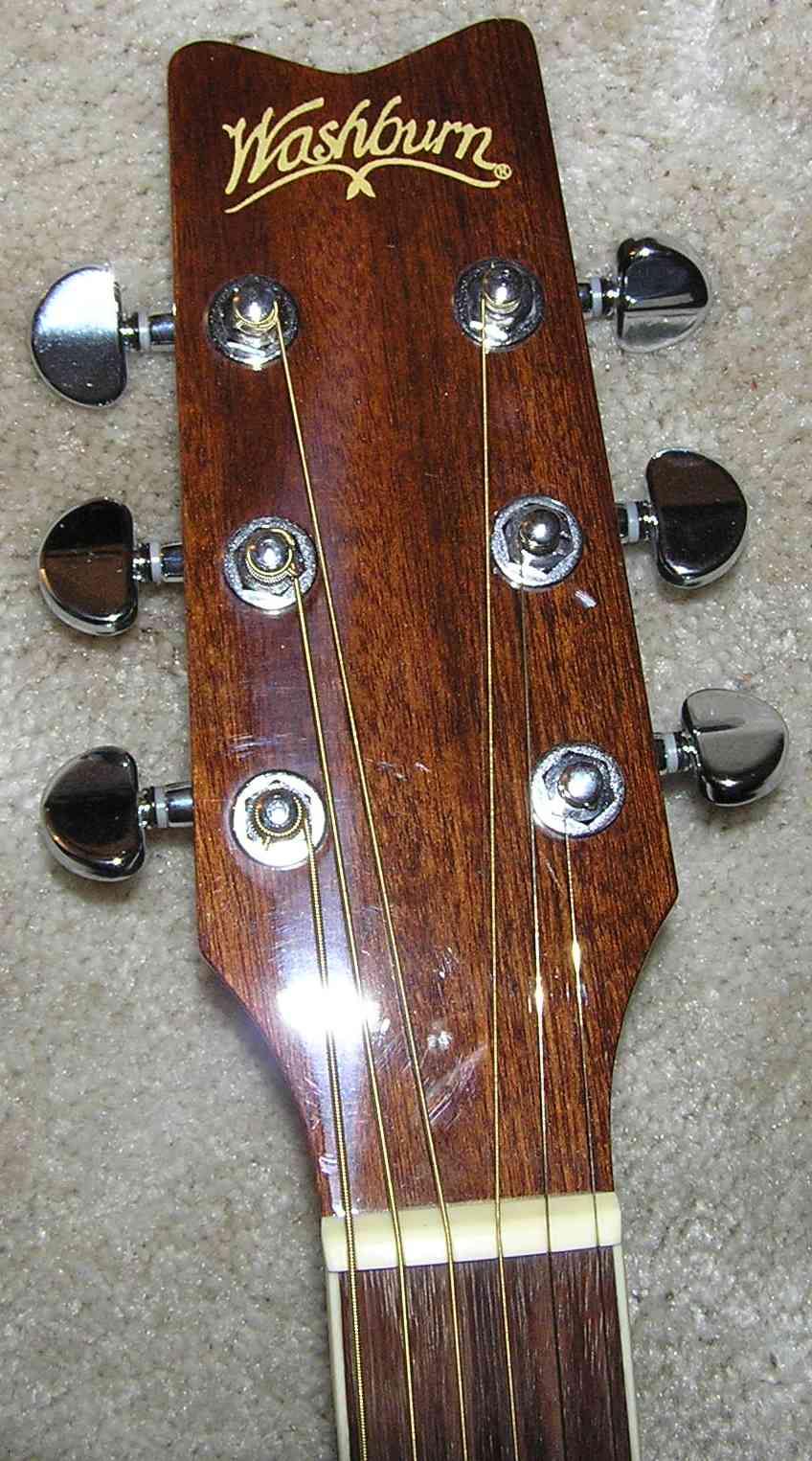 Washburn Acoustic