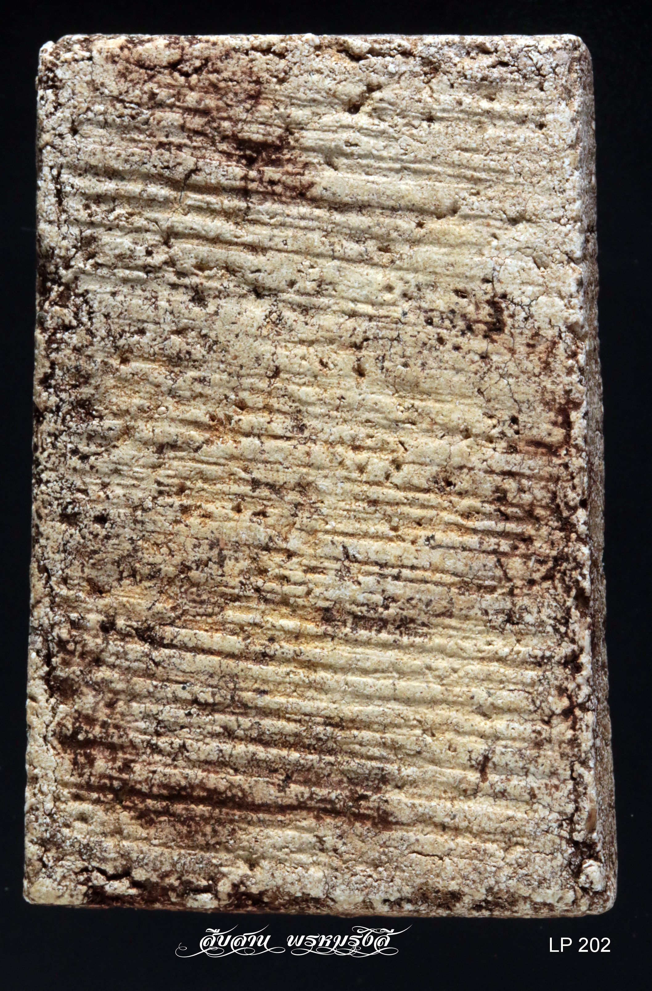 eMagazine "สืบสานพรหมรังสี"